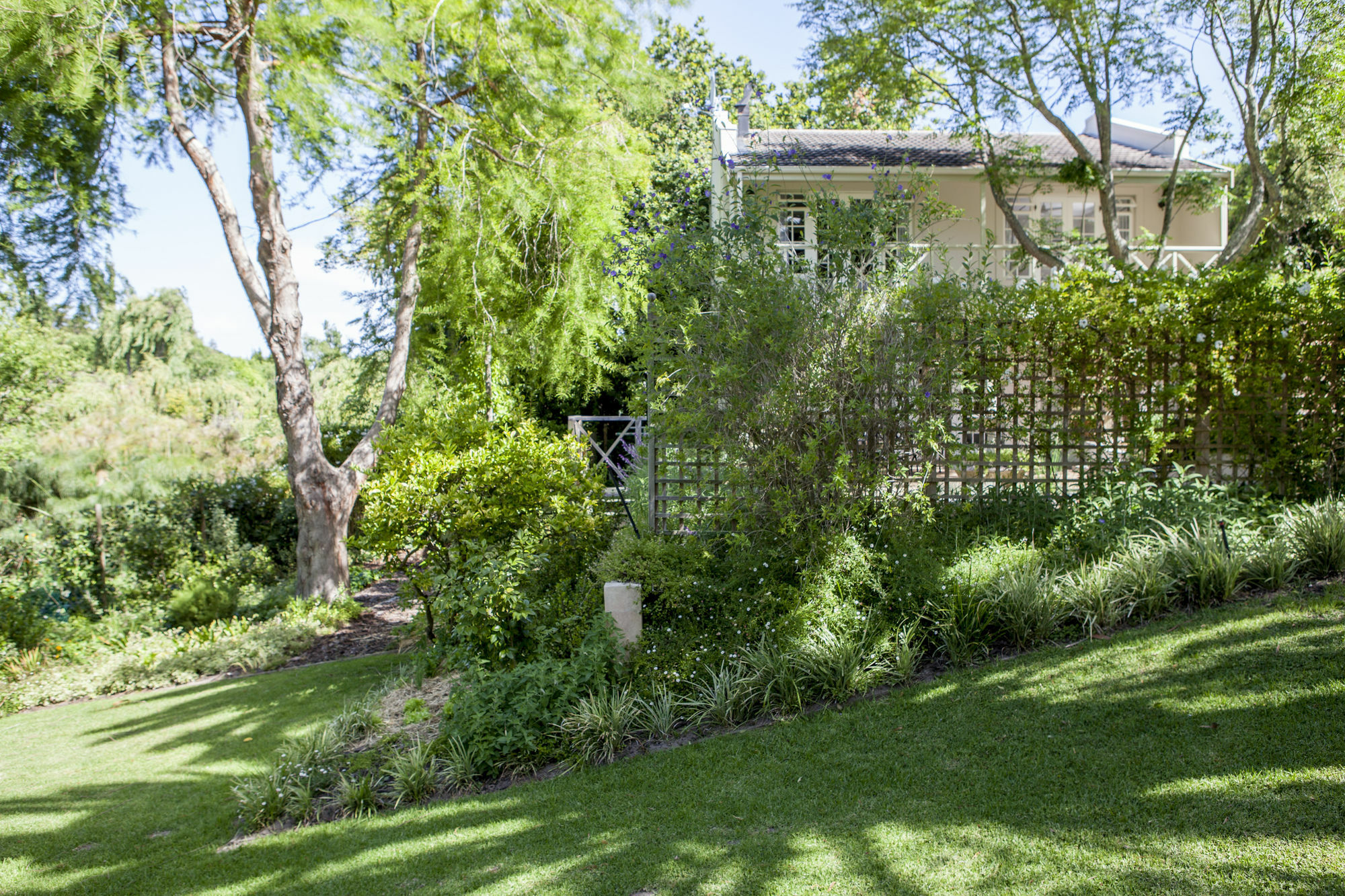 33 Strawberry Lane - Studio And Cottage เคปทาวน์ ภายนอก รูปภาพ
